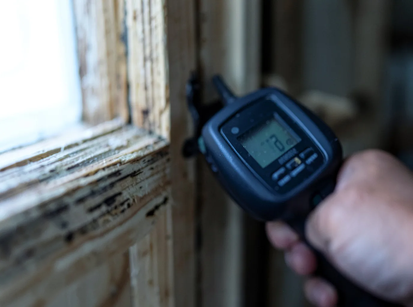 Moisture Inspection And Documentation in Sarles, ND